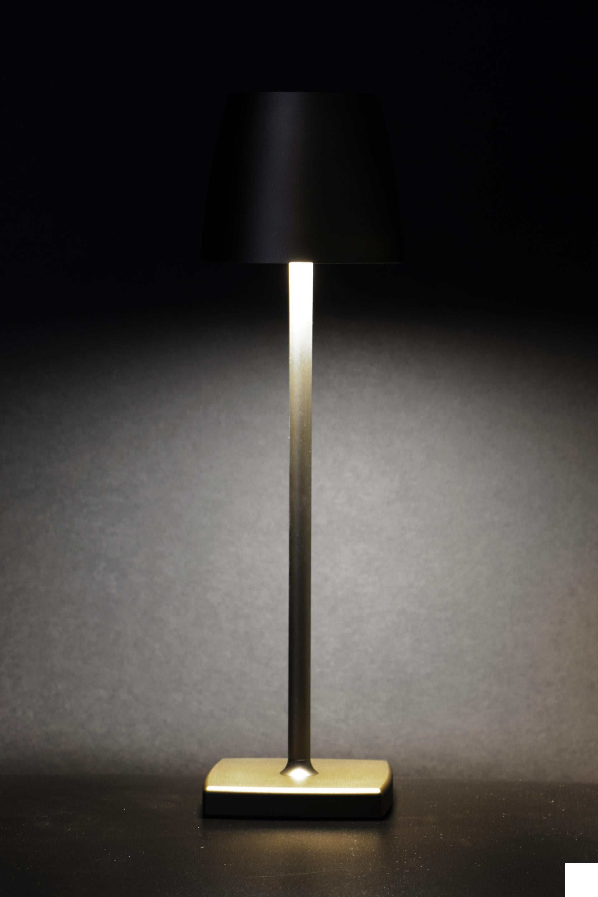 Import Tavola Professional Lumiere Lampada da Tavolo LED Ricaricabile H.38 cm - Bronzo Con Apparecchio In Alluminio Verniciato e Diffusore In Policarbonato