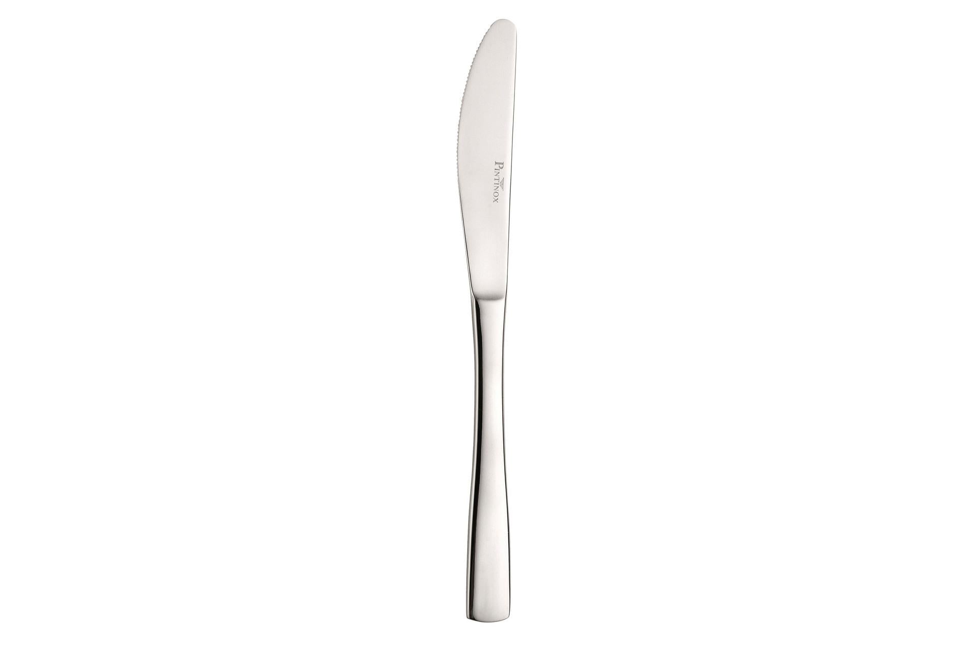 Pintinox Gamma Coltello Frutta Inox - Acciaio Inox 18/10 Spessore 2.5 mm - Set 12 Pz