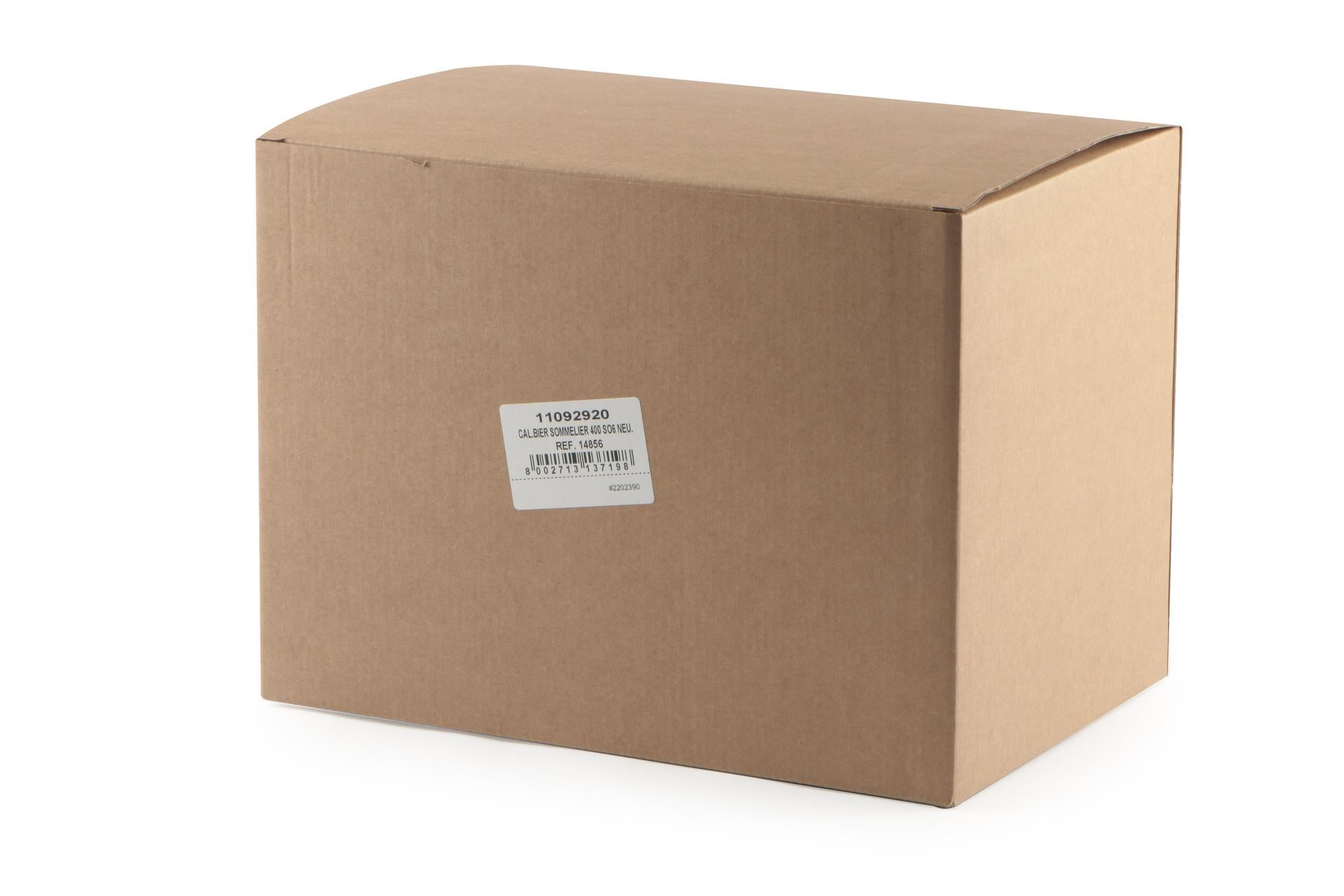 Borgonovo Bier Sommelier Set 6 Calici Birra 400 ml - Calice in Vetro per Degustazione Birre Artigianali  - Set 6 Pz 4