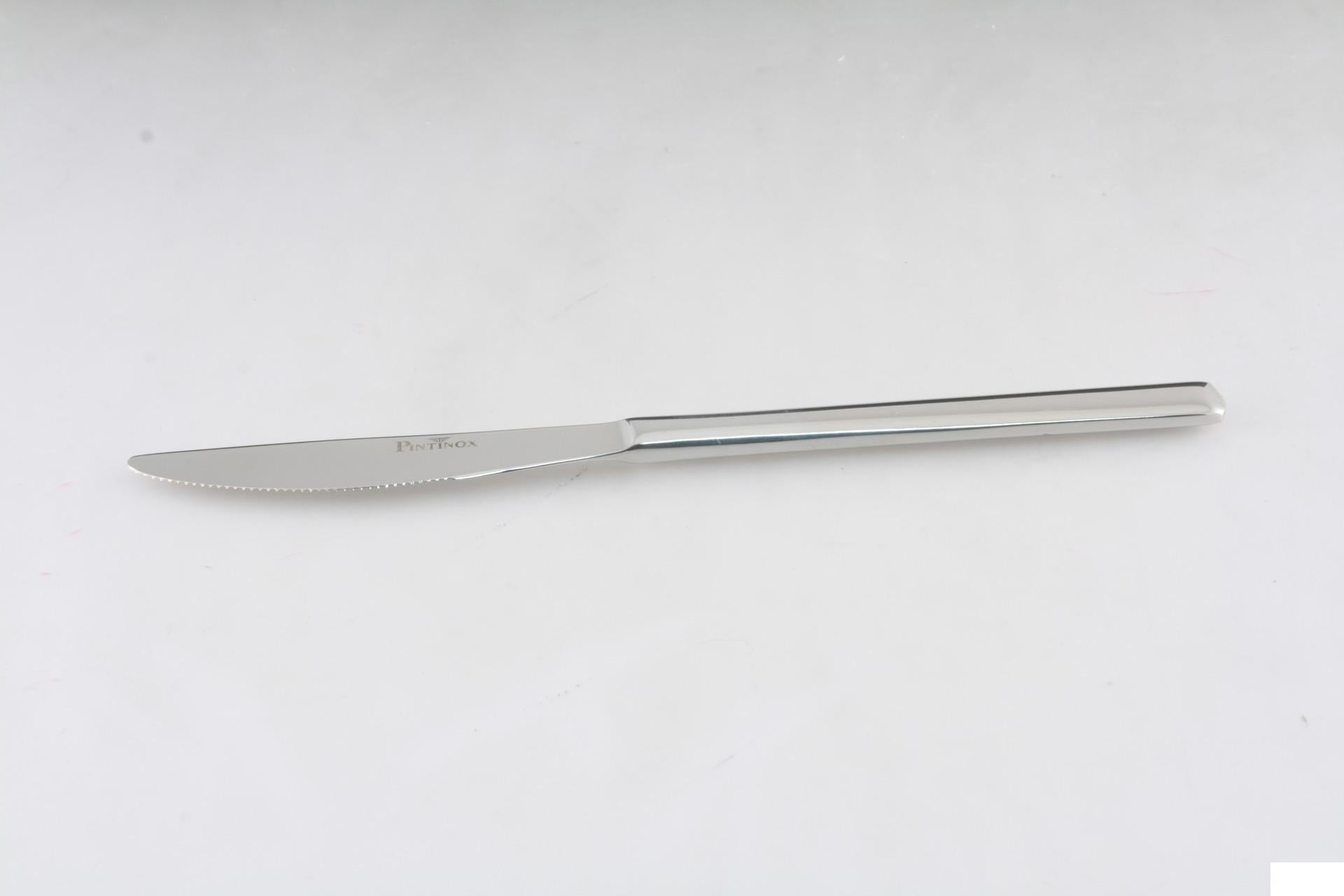 Pintinox Synthesis Coltello Frutta - Set 12 Pz