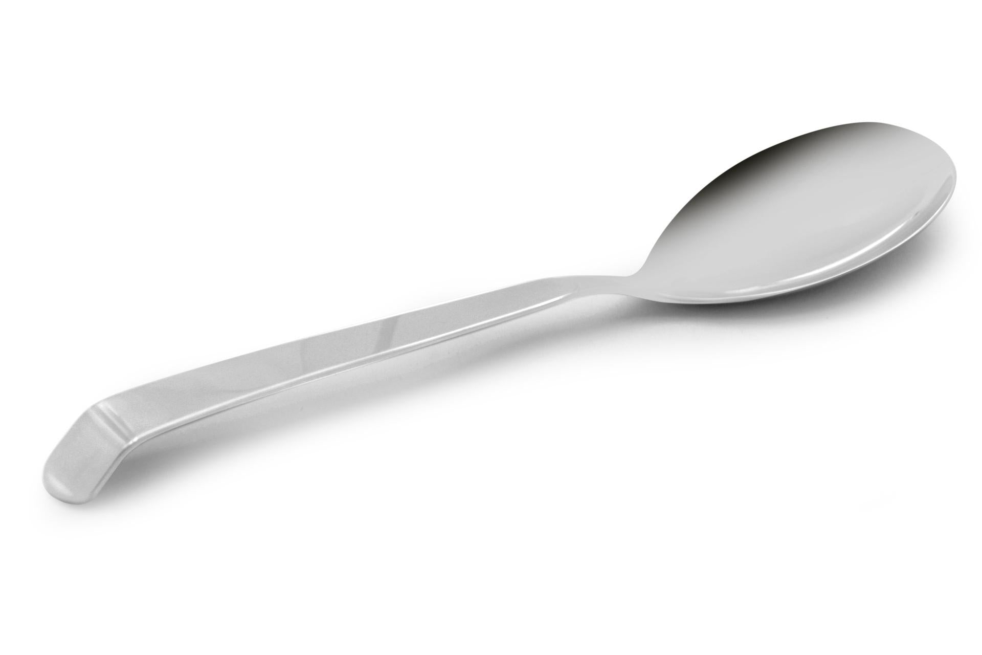 Pintinox Astra Cucchiaione Multiuso Inox 30 cm