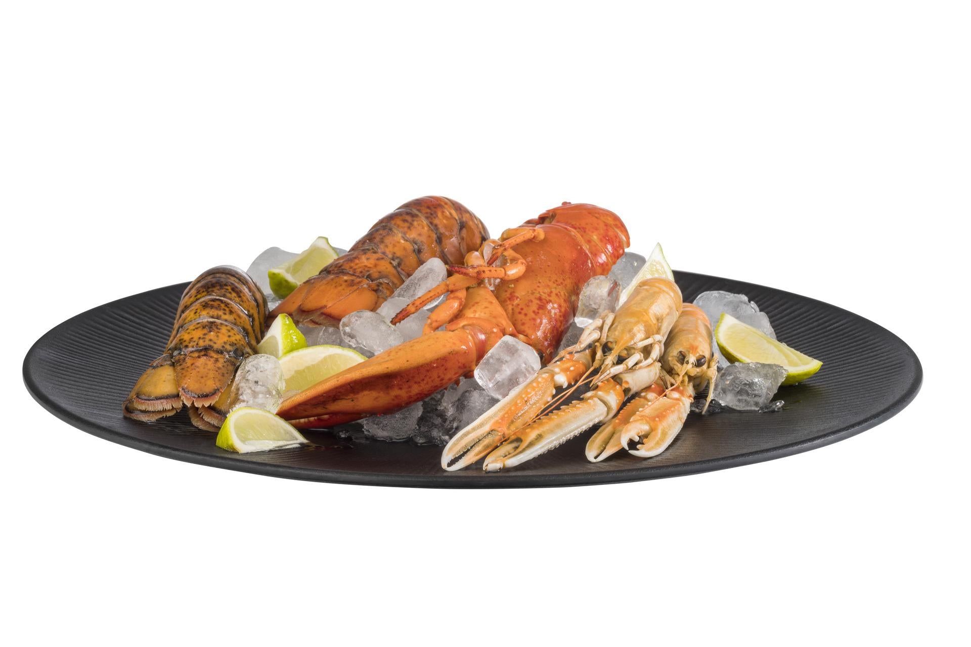 APS Piatto Rotondo Nero Ø42 cm - H.3.5 cm In Melamina di Alta Qualità - Set 6 Pz