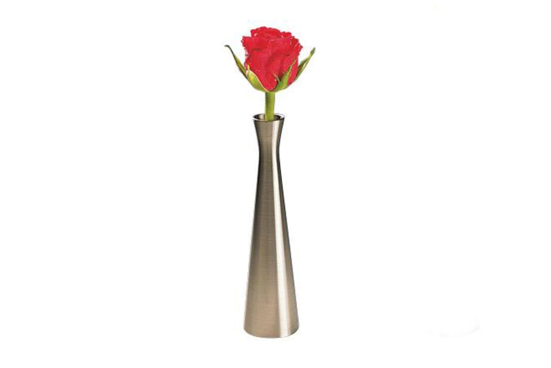 APS Vaso per Fiori H.16.5 cm - Ø4 cm In Zinco 170g