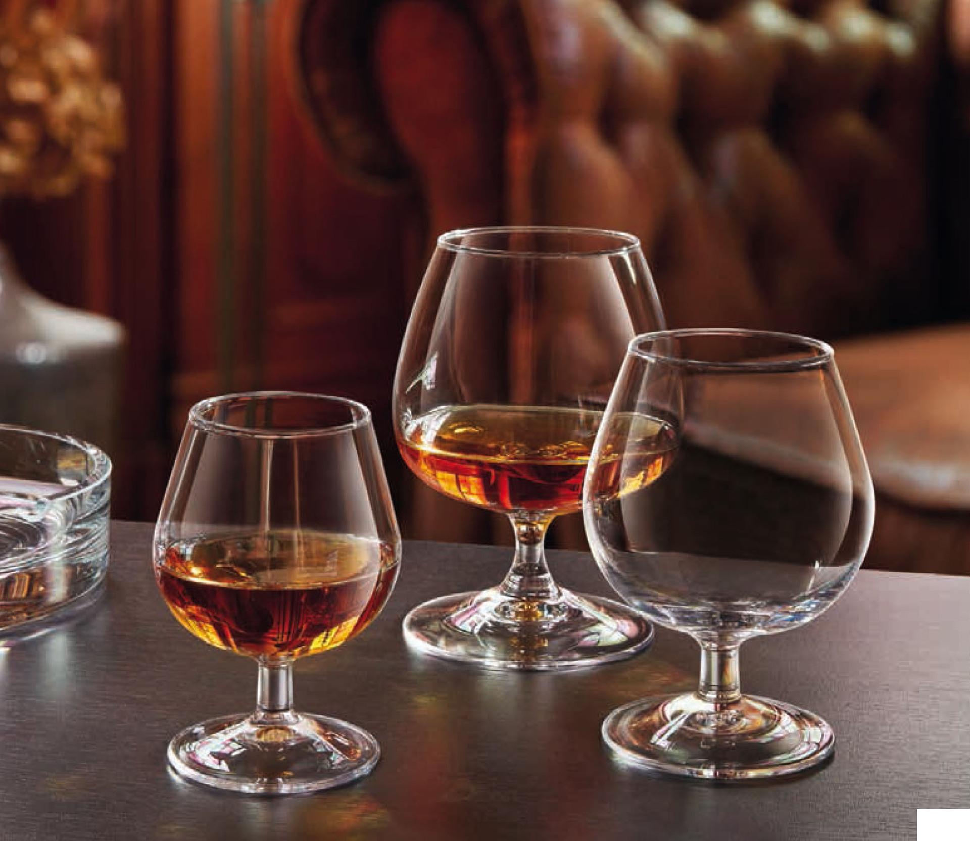 Arcoroc Degustation Calice Cognac 41 cl - H.129 mm Ø95 mm Per Rum e Cognac - Set 6 Pz 5