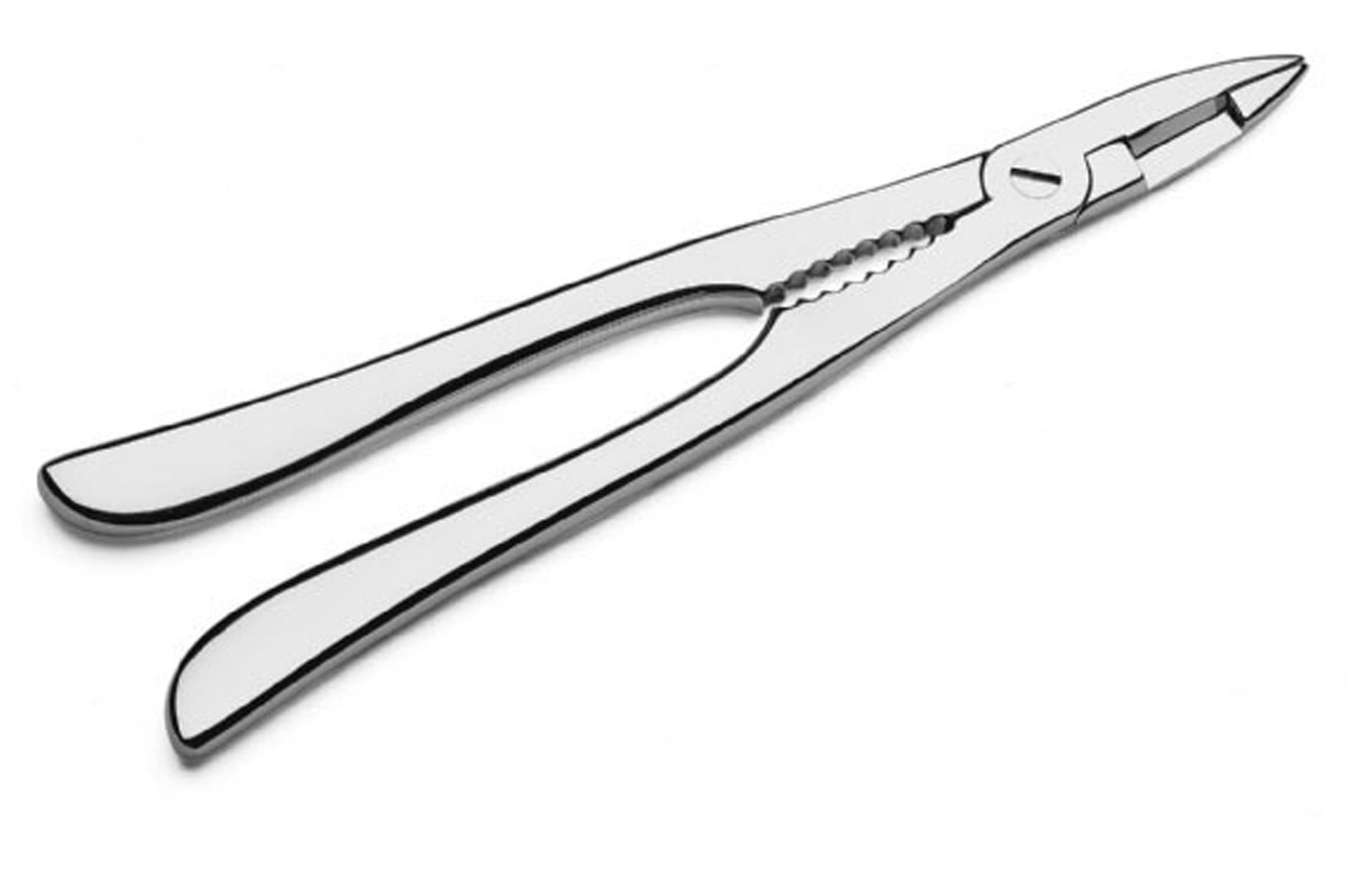 Pintinox Pinza Aragosta 20.6 cm In Acciaio Forgiato